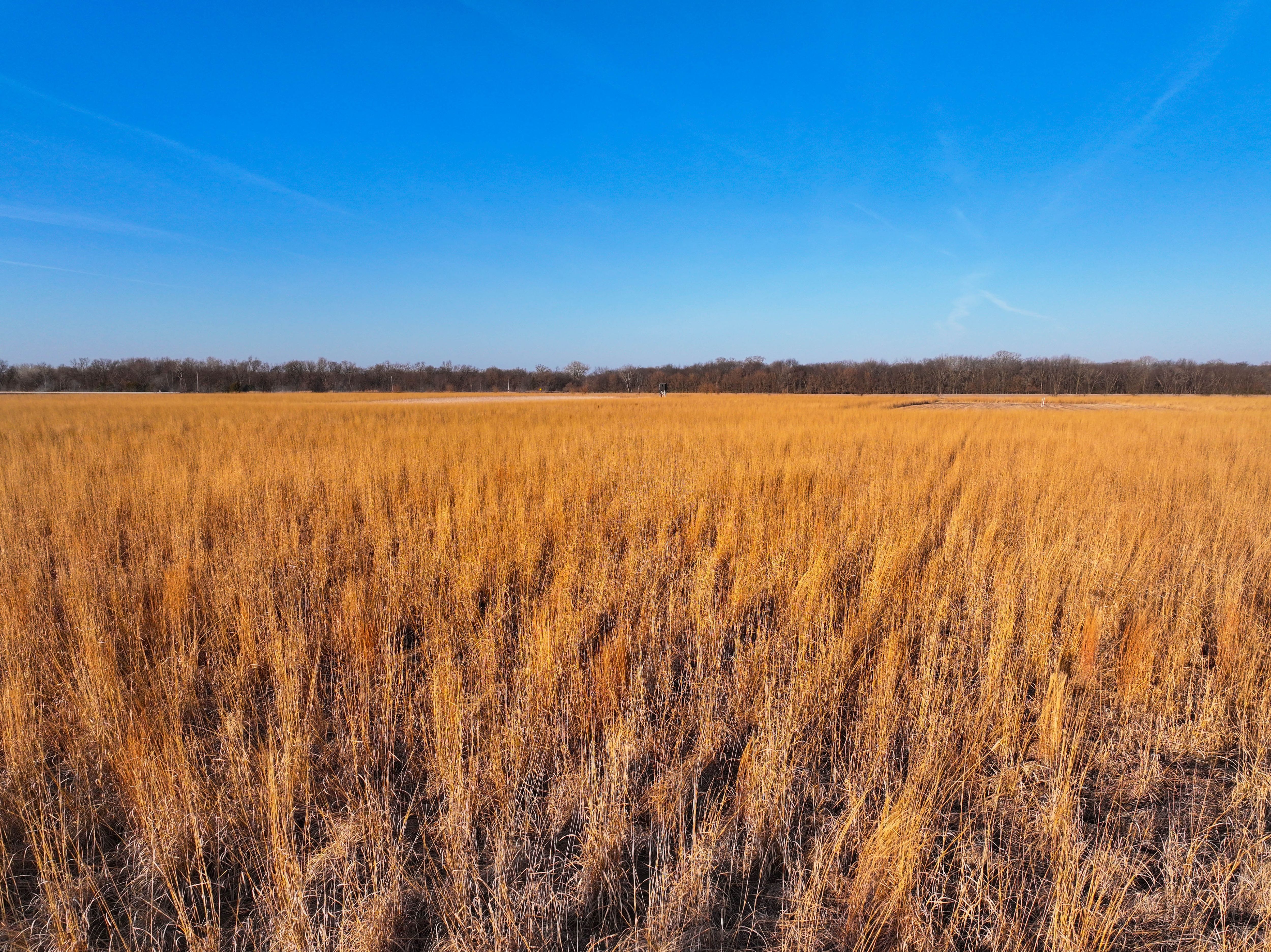 Listing Photo: Johnson County Recreational Farm For Sale-3